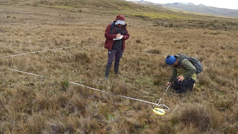 Proyecto Minero Loma Larga