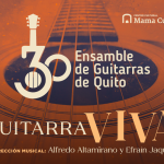 Guitarra viva