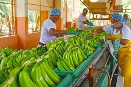 exportaciones