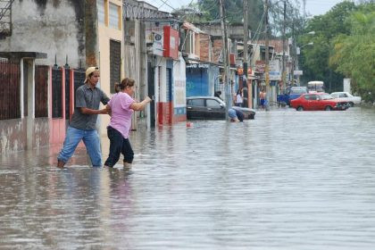 Corte constitucional