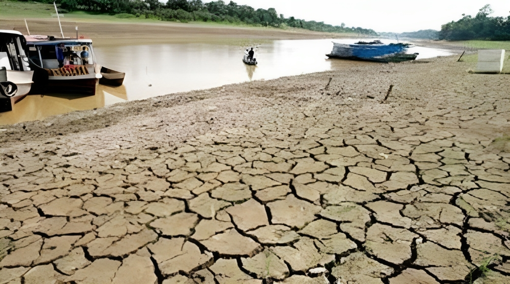 Sequía en la Amazonía