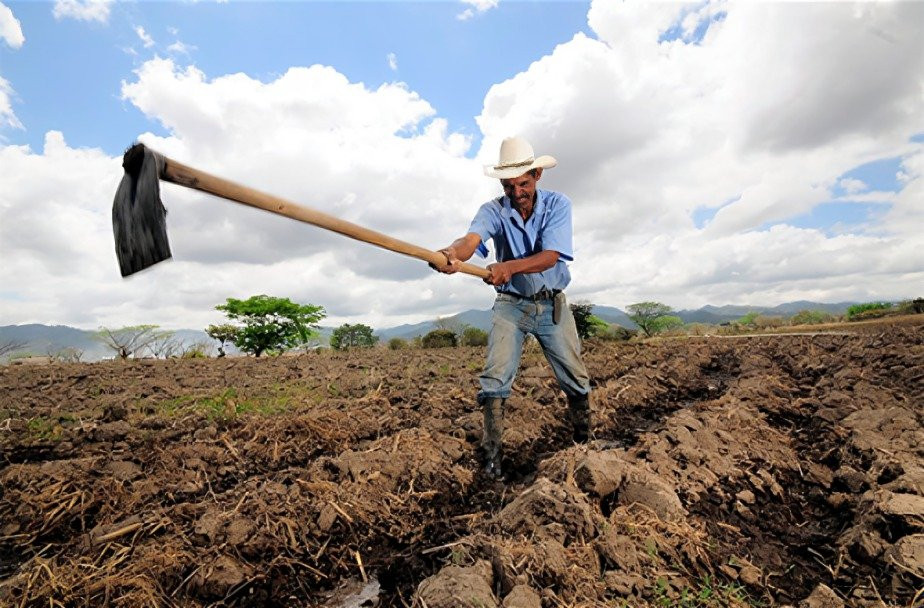 biodiversidad, la lucha contra el cambio climático y la promoción de la agricultura sostenible en América Latina y el Caribe