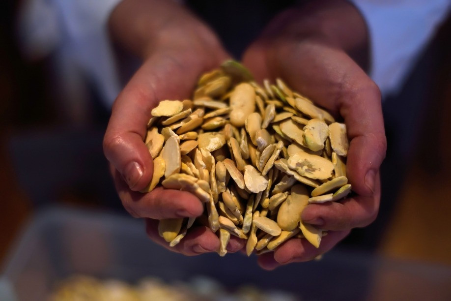 Explora cómo las legumbres benefician el suelo y nuestra alimentación, aportando nutrientes esenciales y mejorando la biodiversidad