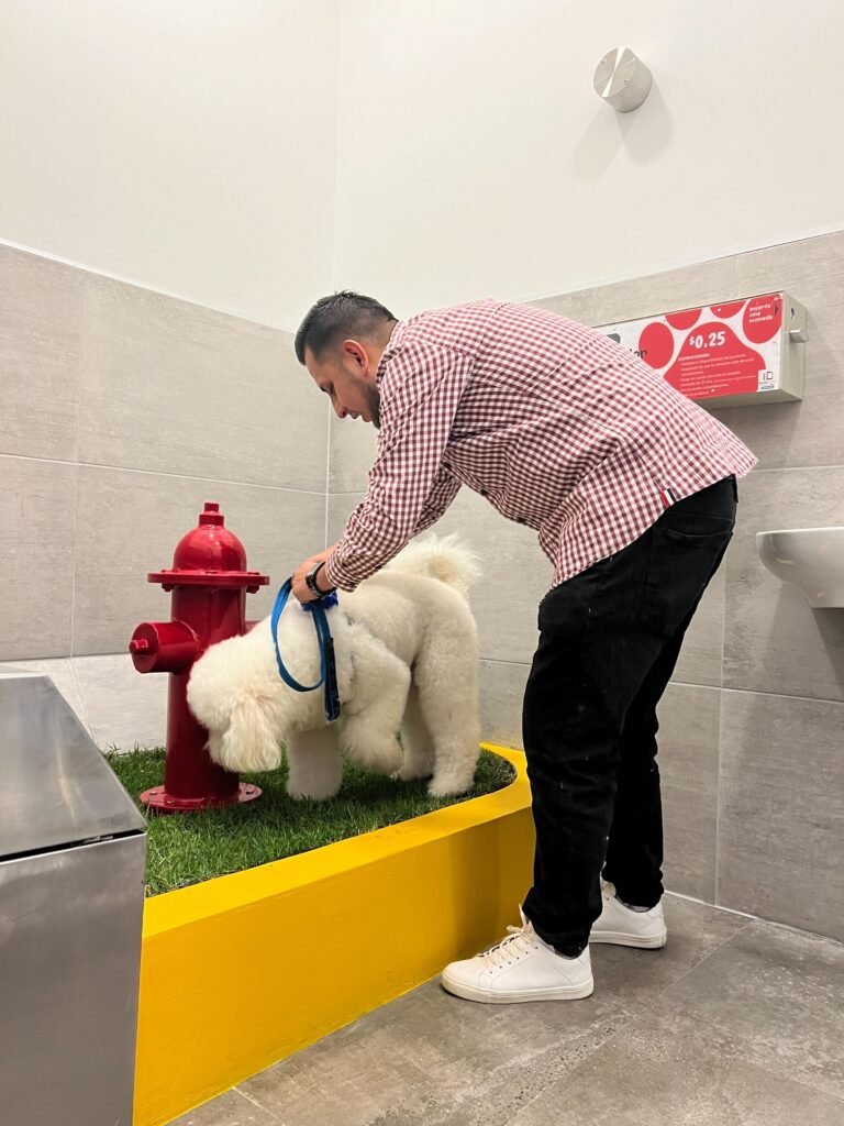 Baño para mascotas en Ciudad Comercial El Recreo: primer espacio en Ecuador con instalaciones modernas y cómodas para tus peluditos