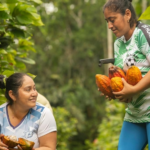 En Ecuador se han implementado programas para una producción sostenible, evitando la tala de más de 86.000 hectáreas para nuevos cultivos.