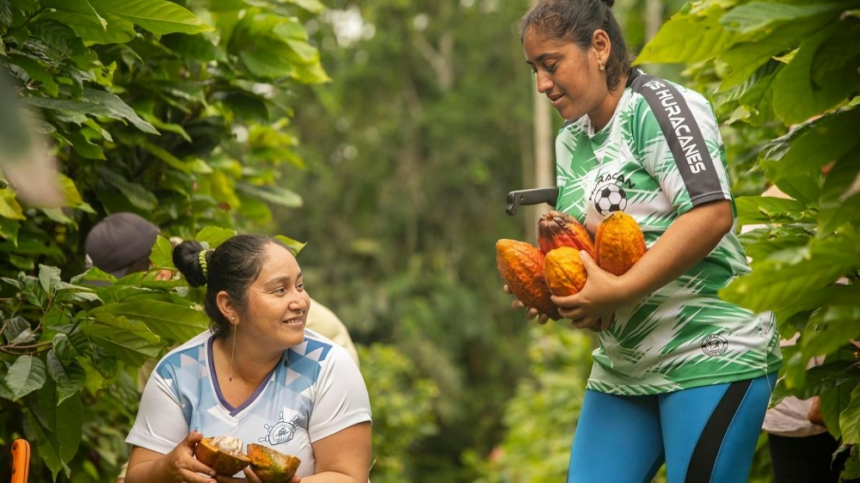 En Ecuador se han implementado programas para una producción sostenible, evitando la tala de más de 86.000 hectáreas para nuevos cultivos.