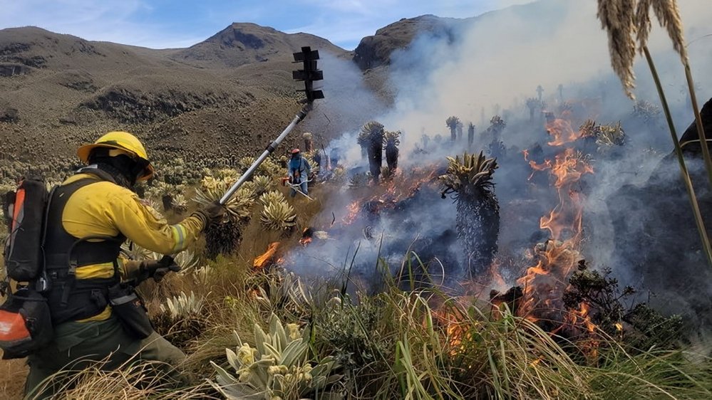 Quito ha lanzado una campaña urgente para enfrentar el aumento de incendios forestales, que en 2024 han afectado 325,64 hectáreas.