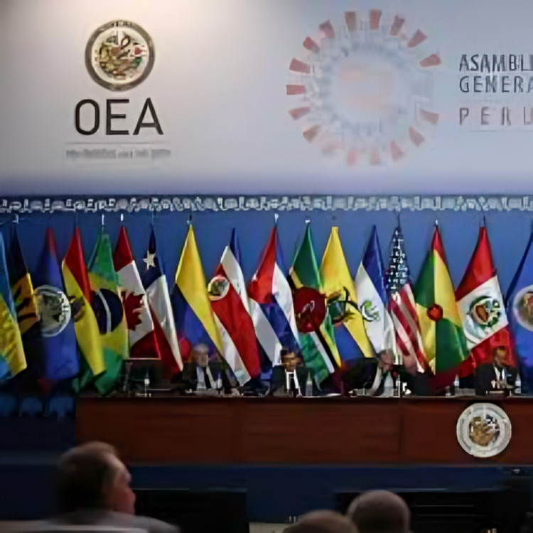Sin consenso en la OEA sobre las elecciones en Venezuela: la resolución sobre el cuestionado proceso electoral no fue aprobada