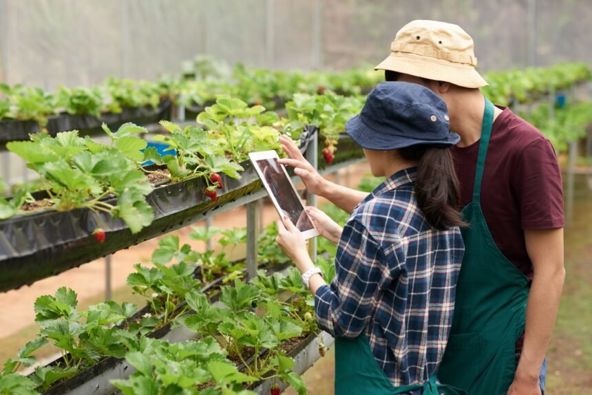 Inversión en startups agroalimentarias: Programa AgriFoodTech ofrece $100K y seis meses de mentoría intensiva