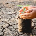 Impacto del calentamiento global en la industria aseguradora: estrategias para mitigar riesgos climáticos y desastres naturales crecientes.