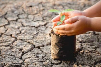 Impacto del calentamiento global en la industria aseguradora: estrategias para mitigar riesgos climáticos y desastres naturales crecientes.