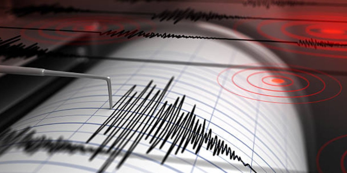 Un sismo que duró aproximadamente unos 30 segundos de duración se registró en Napo este viernes 31 de enero de 2025.