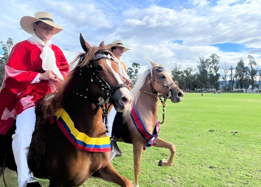 Caballo Peruano de Paso