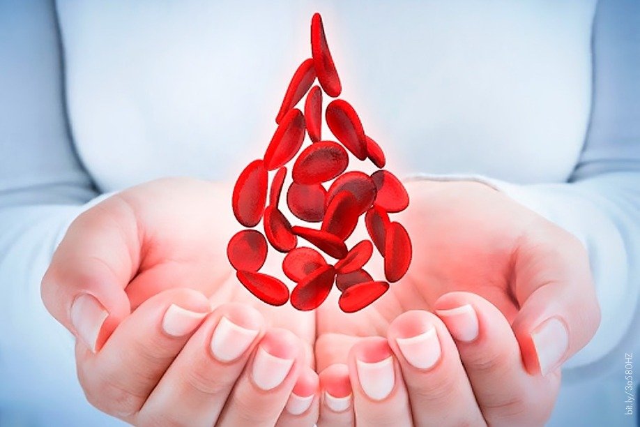 Factor VIII recombinante