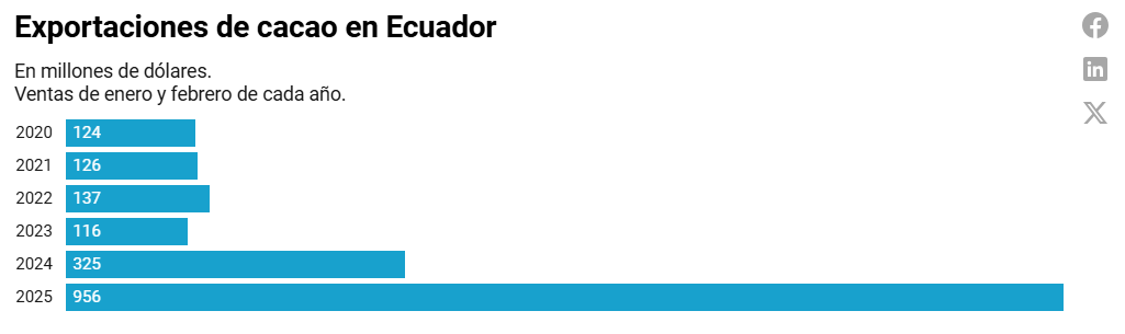 cacao