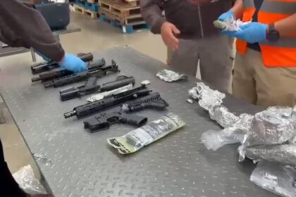 fusiles camuflados parlantes