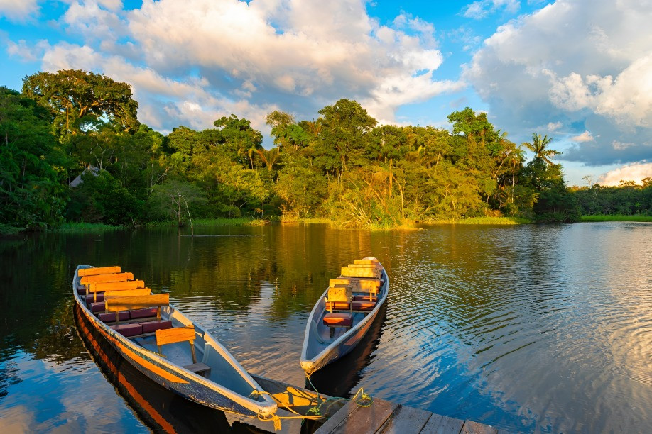 conservación de la Amazonía