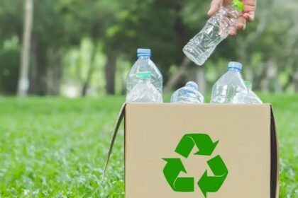 Cultura del reciclaje