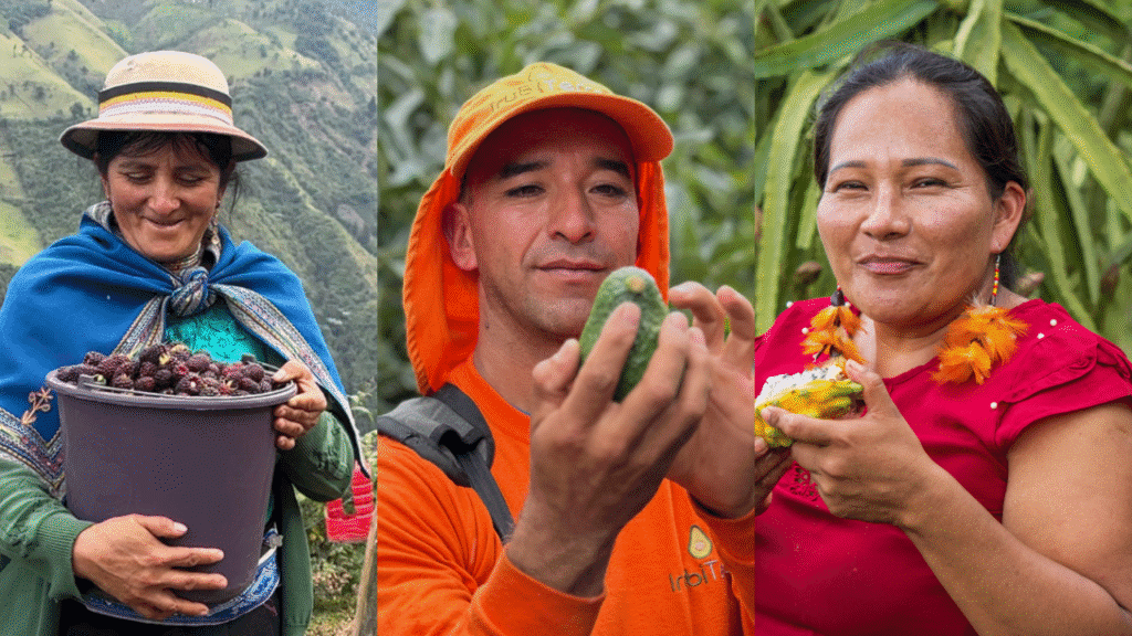 Frutas exóticas de Ecuador