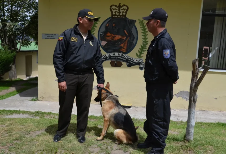 adiestramiento canino