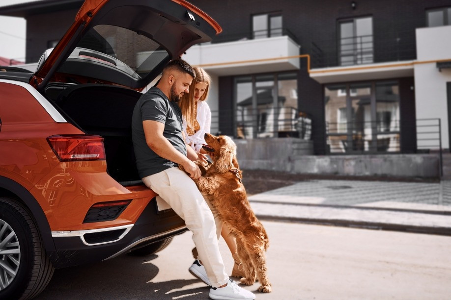 Viajar con mascota