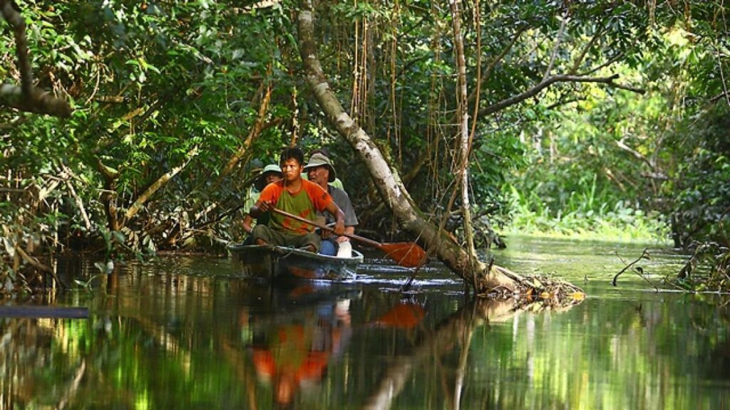 deuda por la Amazonía