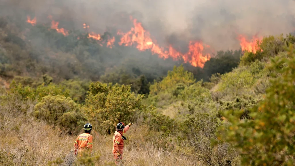 incendio cerca de Jerusalén