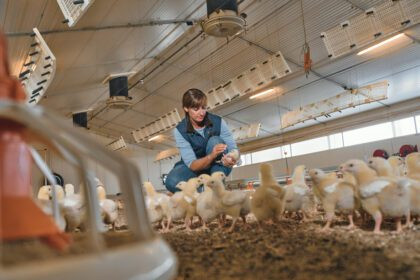 Este es el llamado a fortalecer la sanidad avícola en Ecuador, ante amenazas como la influenza aviar que afectan producción, empleo.