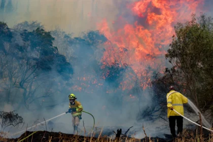 18 personas fueron detenidas bajo sospecha de provocar el fuego.