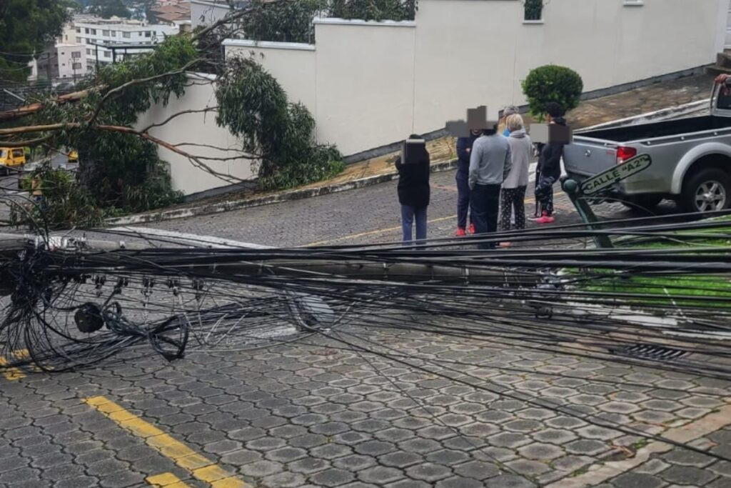 Quito: caída de postes y árboles afecta vehículos