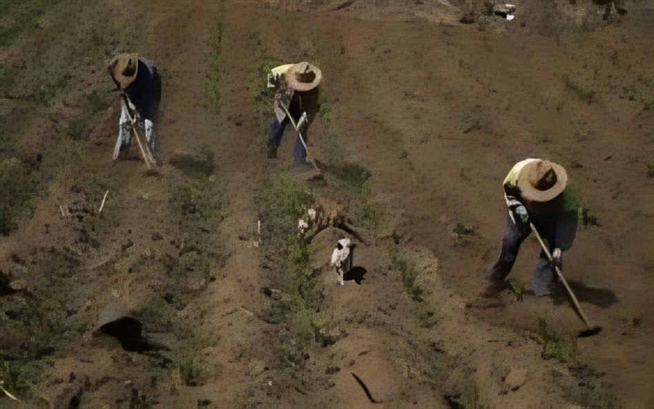 Agro