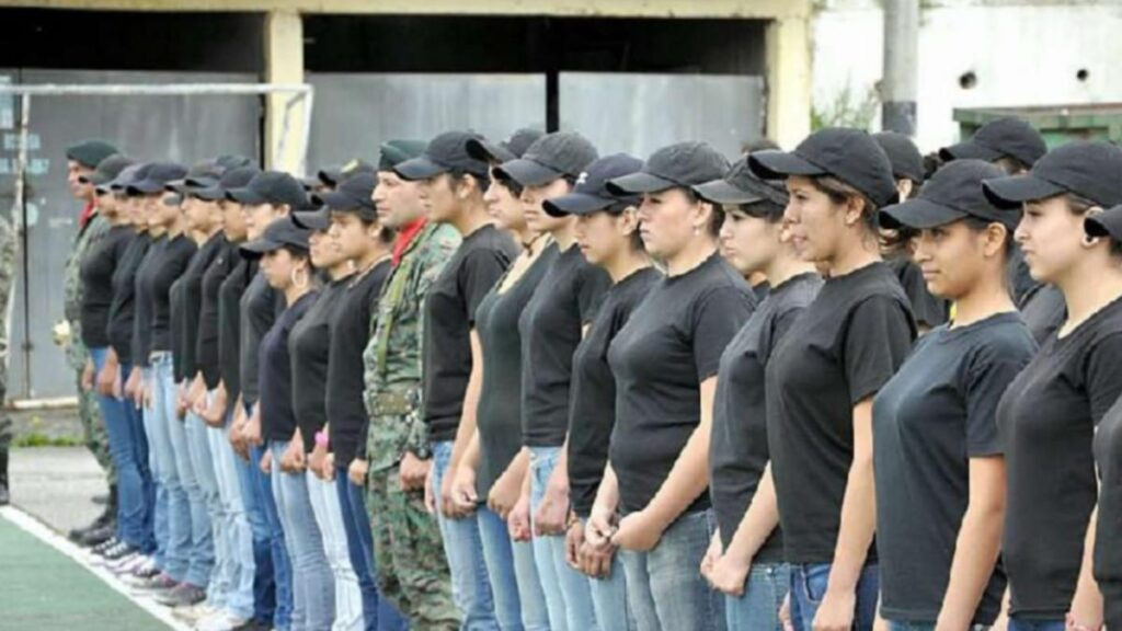 premilitar como curso optativo