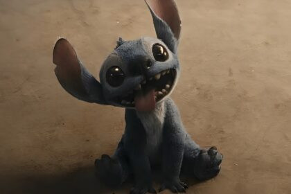 Stitch