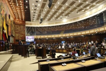Asamblea discute reforma al Código de la Democracia sin propuestas ciudadanas