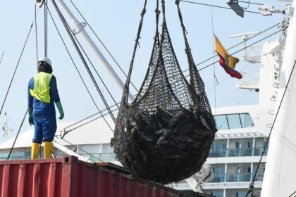 Representantes del sector pesquero rechazan la eliminación del subsidio al diésel en Ecuador