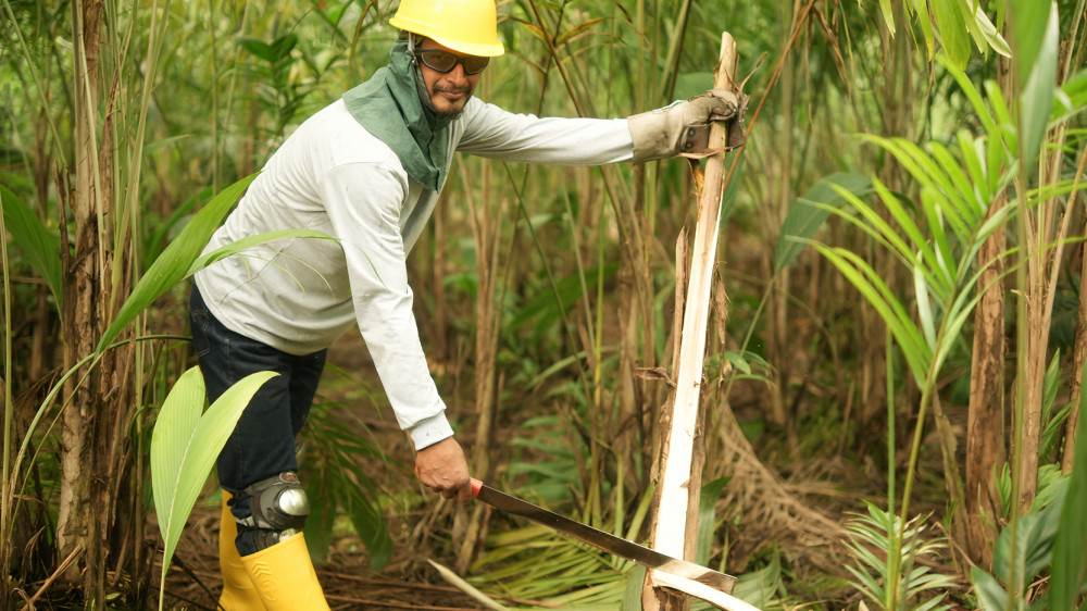 Empresas B en Ecuador lideran la sostenibilidad y el impacto social en sectores como café, chocolate, hoteles y cosméticos.