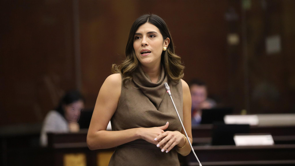 Endurecimiento de penas para adolescentes genera debate en la Asamblea por su inclusión en una ley económica urgente del oficialismo.