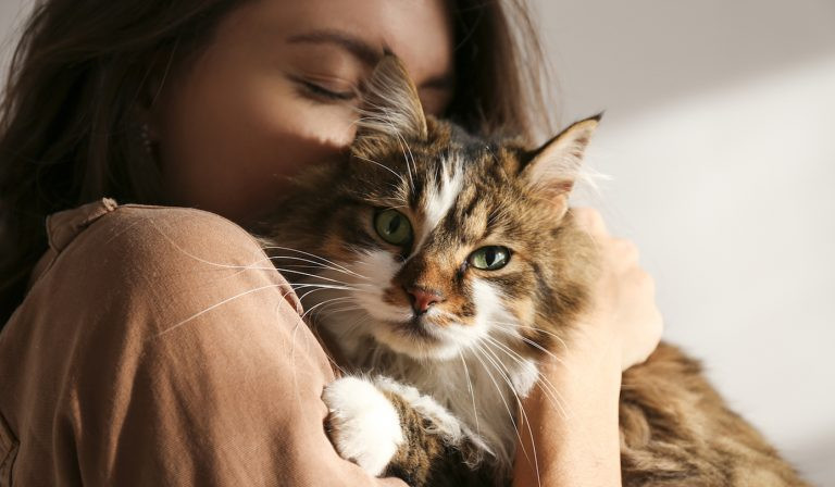 Mujer abrazando con cariño a su gato en el Día de Abrazar a tu Gato 2025