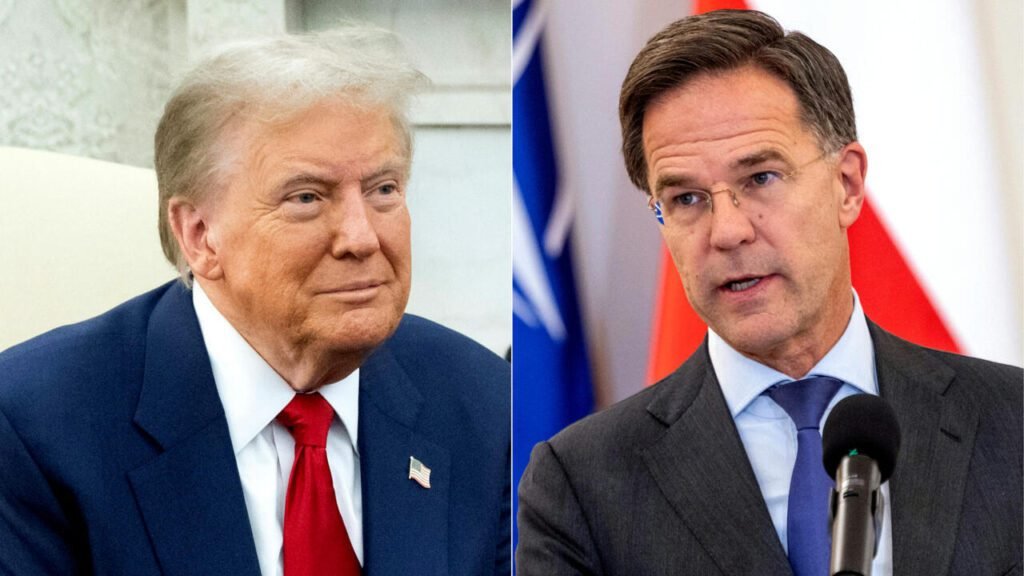 Soldados ucranianos reciben nuevo armamento enviado por Estados Unidos y la OTAN