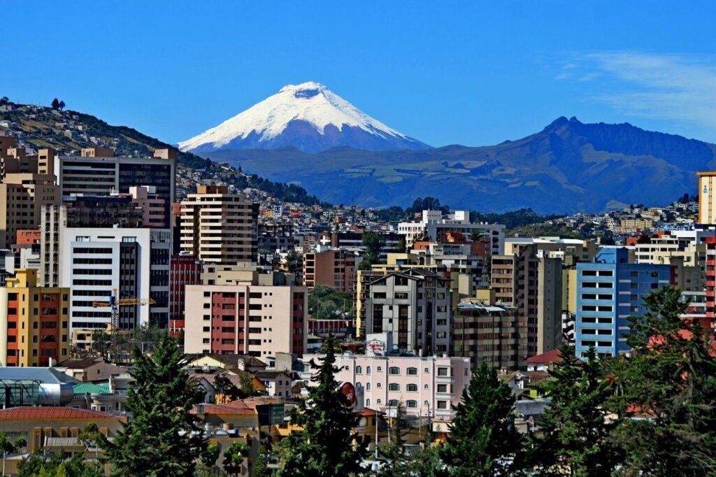 Mercado inmobiliario 