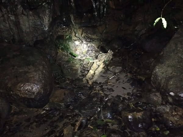 Imagen del lugar donde se hallaron los cadáveres en estado de descomposición en Zamora Chinchipe