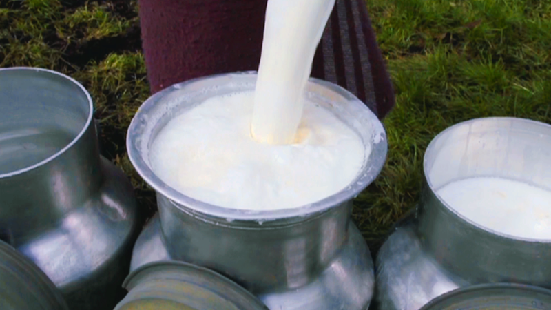 litros de leche