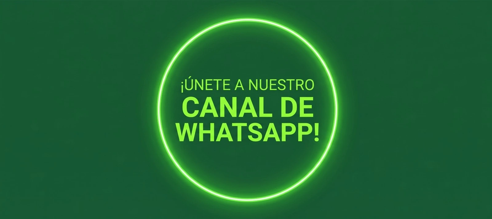 Grupo de whatsapp