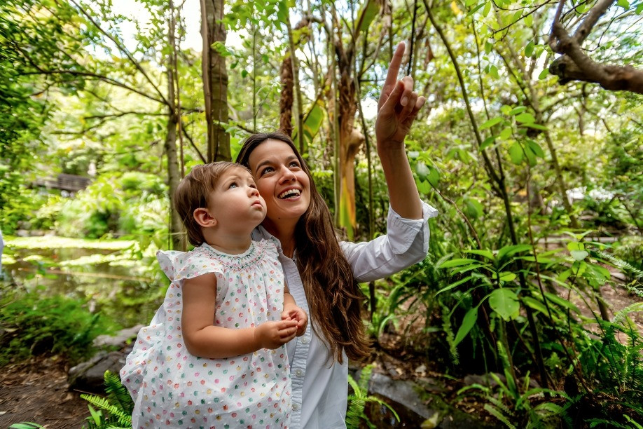 nuevos hábitats ecológicos urbanos y áreas verdes restauradas