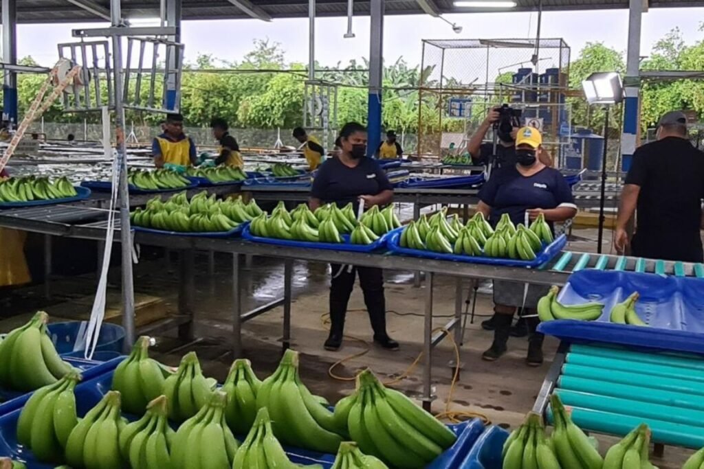 Exterior de la sede principal de Bananera Noboa en Guayaquil tras anunciarse la reducción de su deuda tributaria con el SRI.