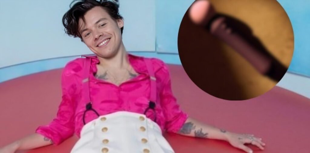 Harry Styles lanza Pleasing Yourself, una elegante línea de juguetes sexuales de Harry que une diseño, placer y libertad sin tabúes.