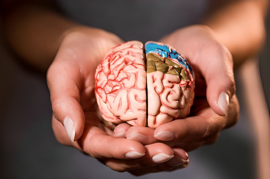 Una fecha clave invita a reflexionar sobre la prevención de enfermedades cerebrales y el compromiso de Omni Hospital con la salud.