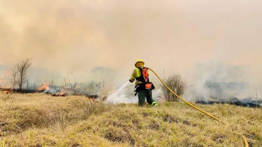 Quito refuerza patrullajes, sanciones y campañas para prevenir incendios forestales en Quito durante la temporada seca y proteger zonas.