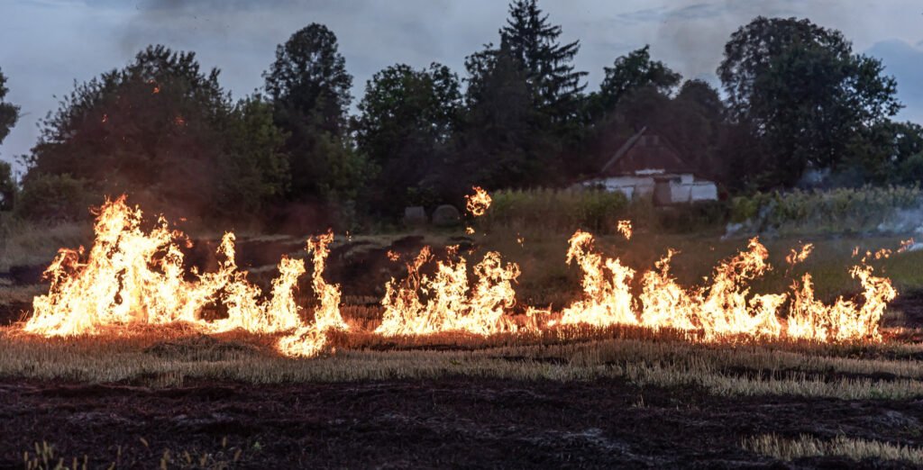 Brigadas comunitarias y corredores ecológicos reducen la incidencia de incendios forestales en Ecuador.
