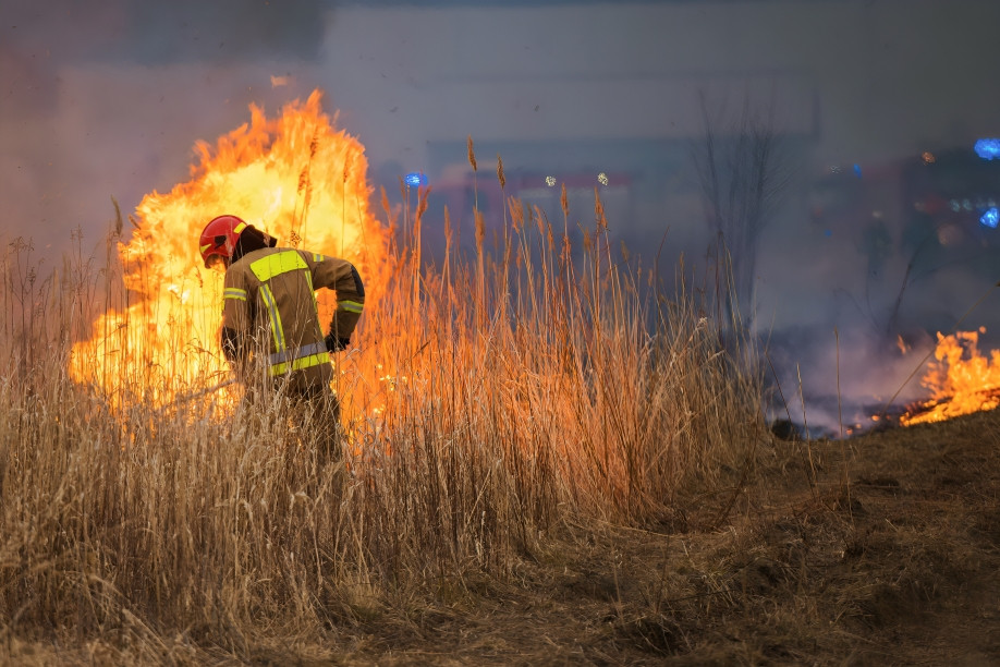 Voluntarios realizan labores de prevención de incendios forestales en zona boscosa